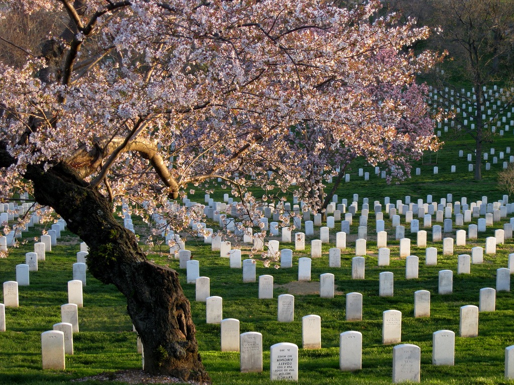 Arlington Memorial