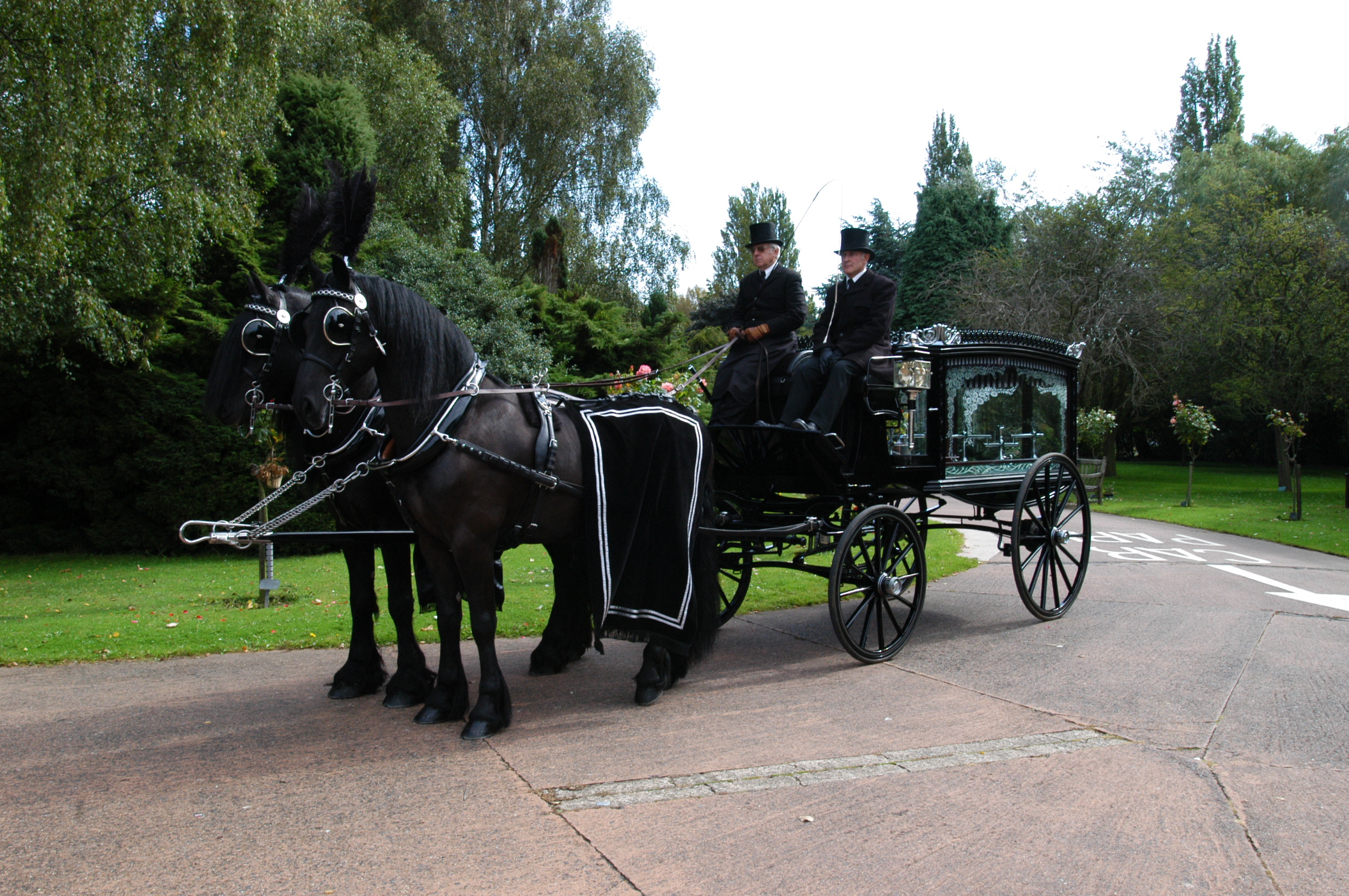 Horse-drawn Carriage