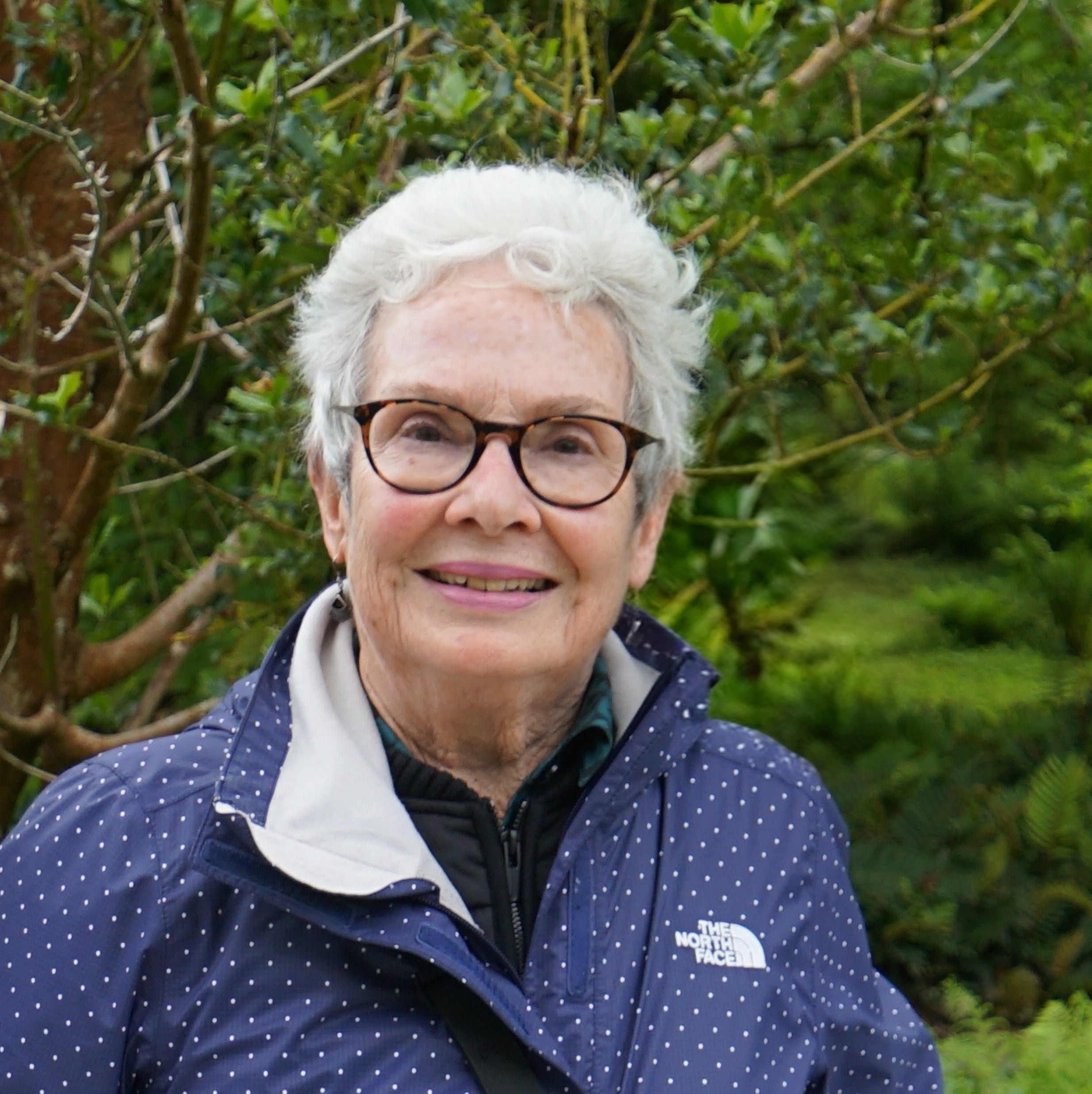 Casarino, Elizabeth G.