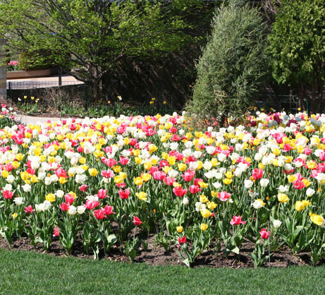 Yarmolyk, Kathleen E.