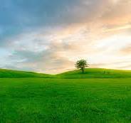 Kilpatrick, Danny Gene